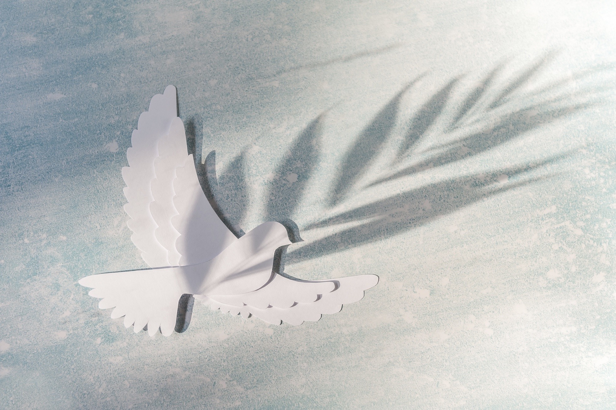 World Peace Day greeting card template. Silhouette of dove carrying branch. White bird flying on blue background. Minimalism, soft focus,  top view.